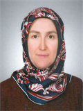 Dr. Öğr. Üyesi ARZU YAVUZ