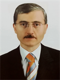 Prof. Dr. MURAT ELEVLİ