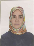 Doç. Dr. SEVİL ÖZKAN