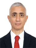 Prof. Dr. HÜSEYİN GÜLEÇ
