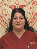 Dr. Öğr. Üyesi MELİKE GEYİK BAYMAN