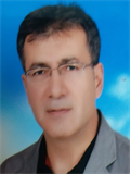 Prof. Dr. CENGİZ DEMİR
