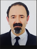 Prof. Dr. GÜRSEL YILDIZ