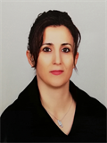 Dr. Öğr. Üyesi HÜLYA ETEM