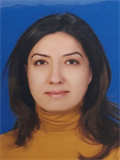 Doç. Dr. GÜLDEN ESER KARLIDAĞ