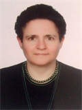 Prof. Dr. HATİCE SEBİLE DÖKMETAŞ