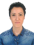 Prof. Dr. ŞAFAK KAYA