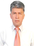 Prof. Dr. VEYSEL ERDEN