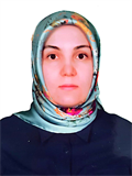 Dr. Öğr. Üyesi NEŞE GÖÇER GÜROK