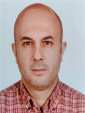 Prof. Dr. TOLGA SAKA