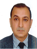 Prof. Dr. SERDAL ALBAYRAK